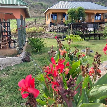 Lake Natron Maasai Guesthouse Mtowabaga 외부 사진