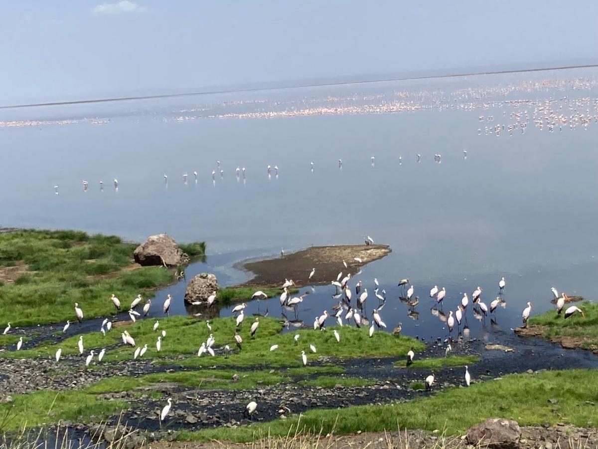 Lake Natron Maasai Guesthouse Mtowabaga 외부 사진