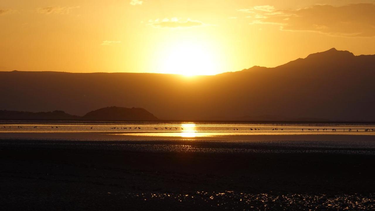 Lake Natron Maasai Guesthouse Mtowabaga 외부 사진